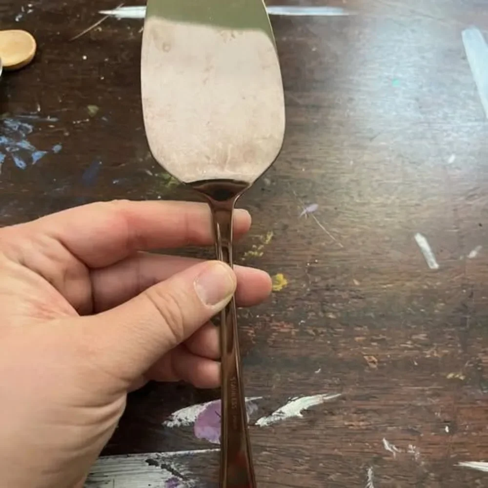 Stainless Steel Cake and Pie Server
